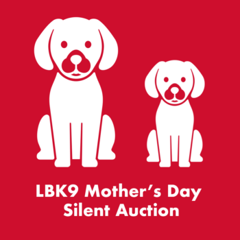 Mother's Day Silent Auction 2