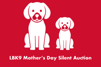 Mother's Day Silent Auction 3